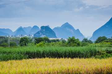 什么是IE系列浏览器