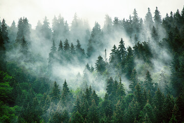 那多灵异手记系列 的先后顺序 还有一共出了多少本-
