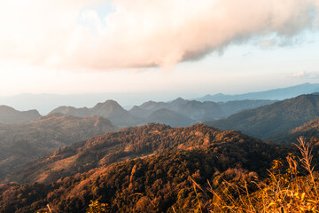 什么是旅游信息化组织