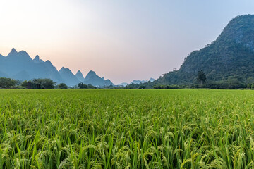 什么是IE系列浏览器