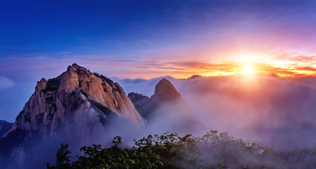 什么是旅游信息化组织